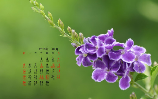 496501 (a): :1440x900